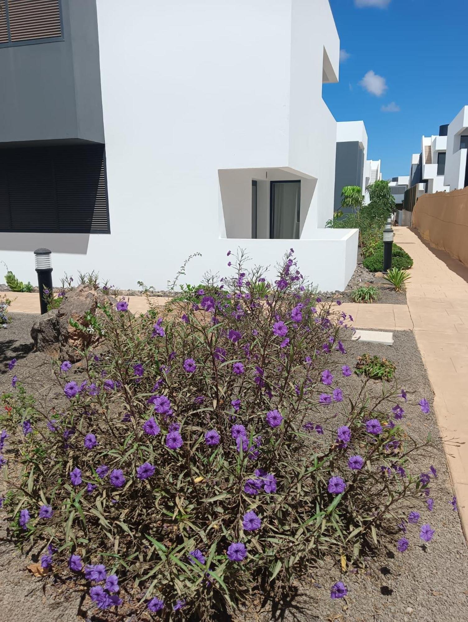Aulaga Apartment Villaverde  Exterior photo