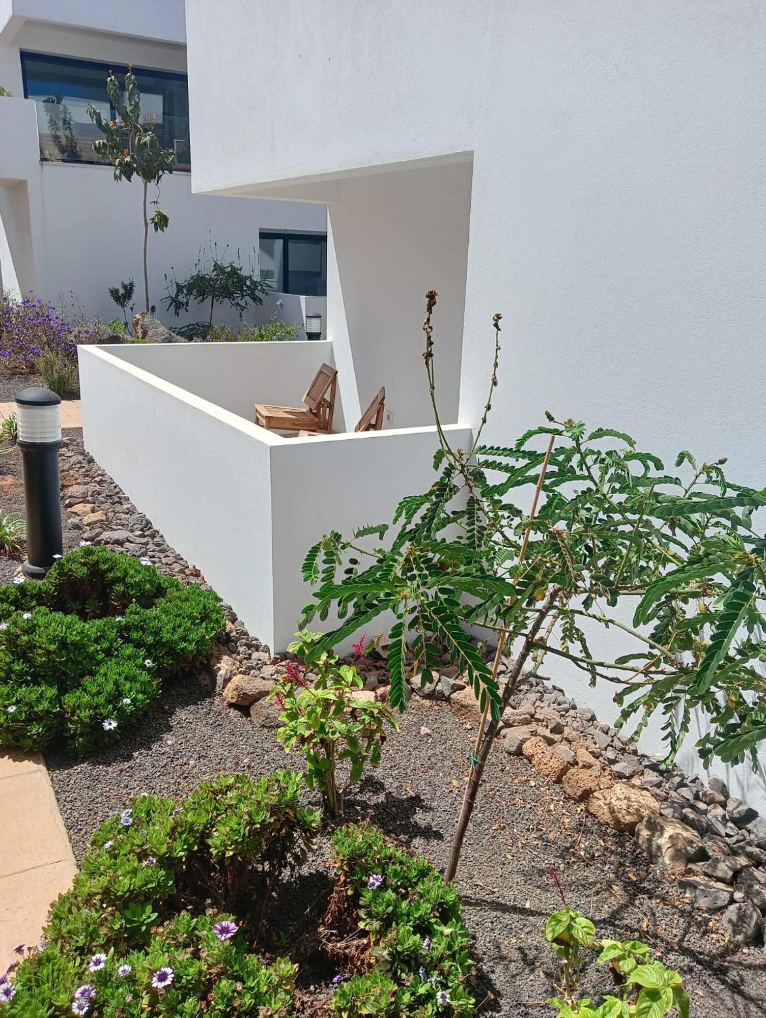 Aulaga Apartment Villaverde  Exterior photo